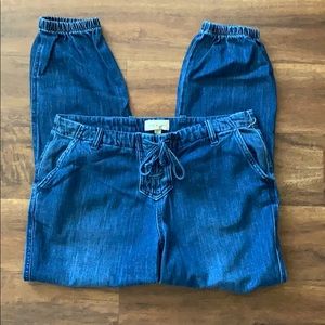 Cloth and Stone denim jogger Anthropologie
